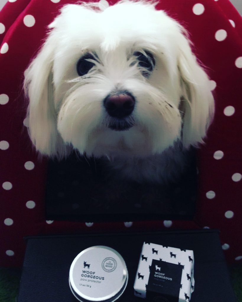 woof-gorgeous_mooni