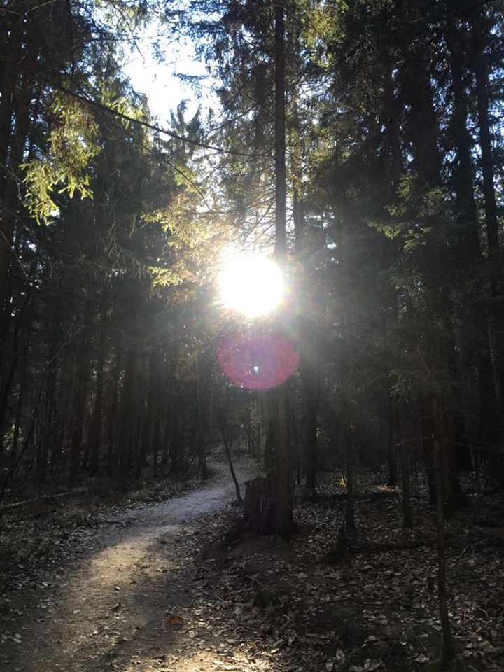 meditativno popotovanje_tečaj meditacije_online tečaj_mooni blog_vpliv misli na telo_mokini yoga